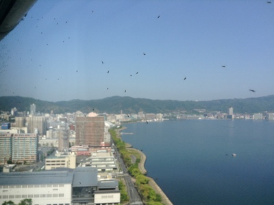 f0057955_1054561.jpg