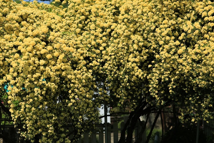 b0168859_7552411.jpg