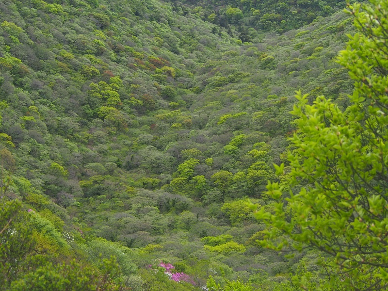 c0042869_912935.jpg