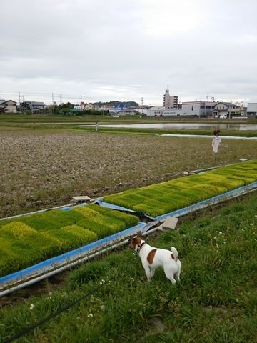 f0100871_15005978.jpg