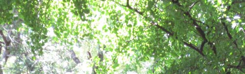 b0192672_2374511.jpg