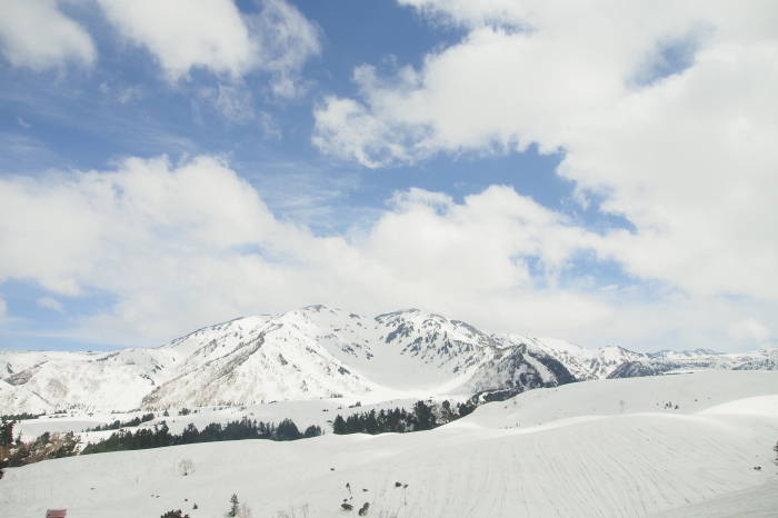 e0307372_17322240.jpg