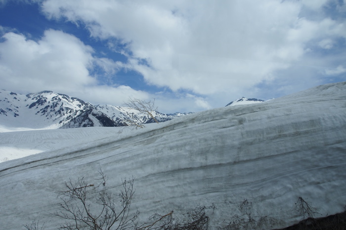 e0307372_17362559.jpg