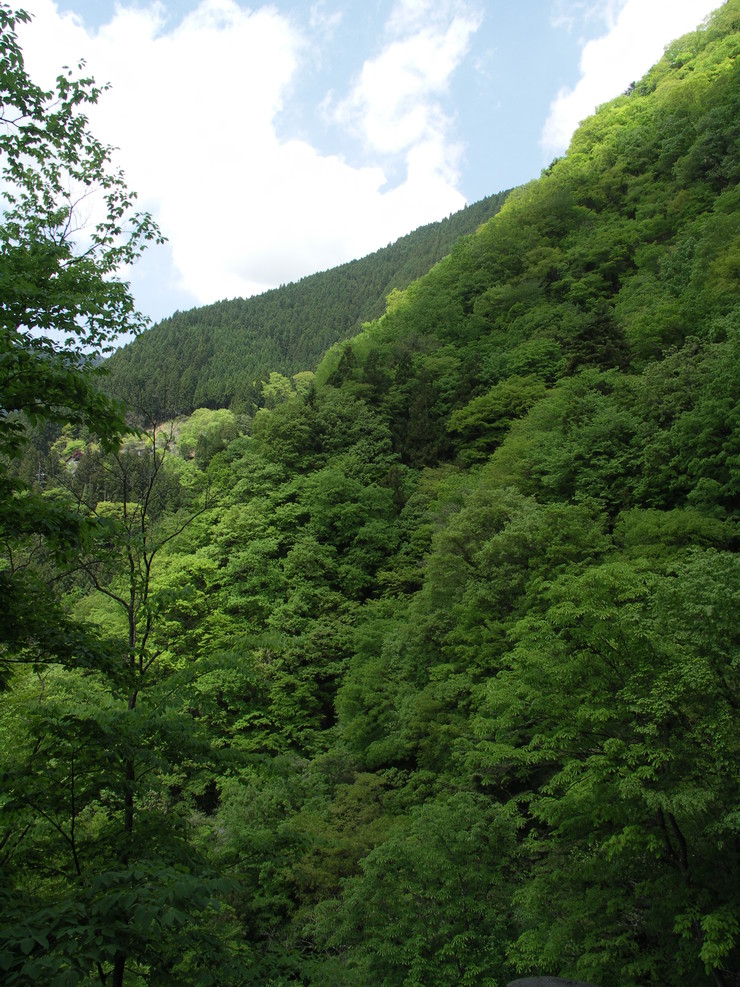 d0225575_10503436.jpg