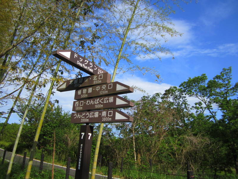 d0264176_19225869.jpg