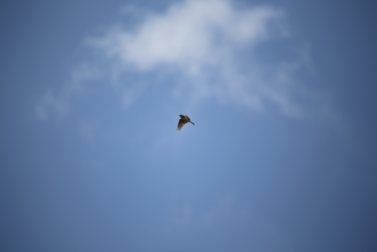 e0249878_19342683.jpg