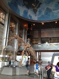 c0020984_16503892.jpg