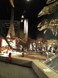 c0020984_16504553.jpg