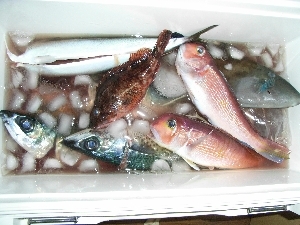 c0020984_18395339.jpg