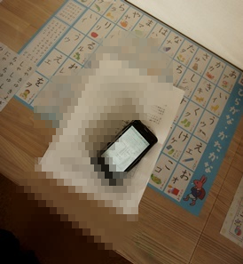 e0292987_1029634.png