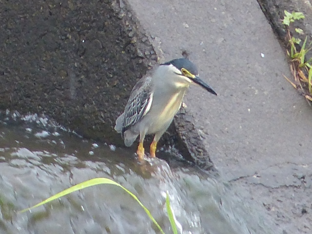 f0357487_2134324.jpg