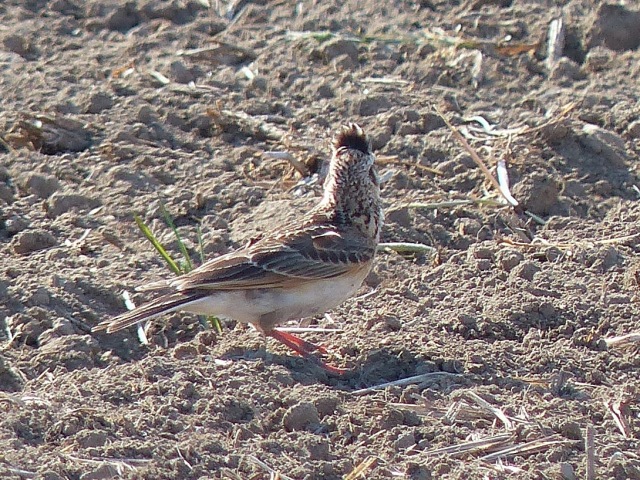 f0357487_21382683.jpg