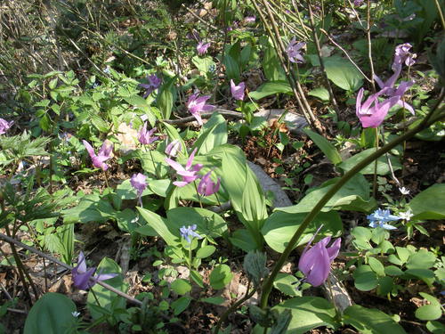 f0297492_1685114.jpg