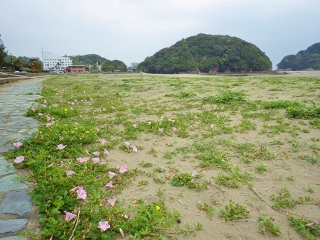 a0125598_12321174.jpg