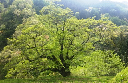 e0143298_20112249.jpg
