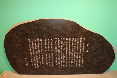 c0075701_544615.jpg