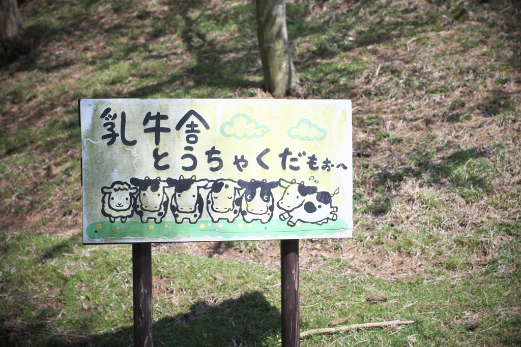c0355704_21431789.jpg