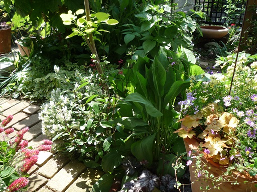 e0234004_18581572.jpg