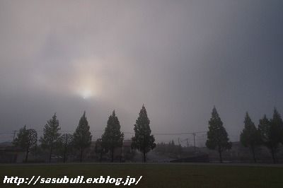 e0145805_2159524.jpg