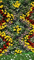 c0280206_773443.jpg