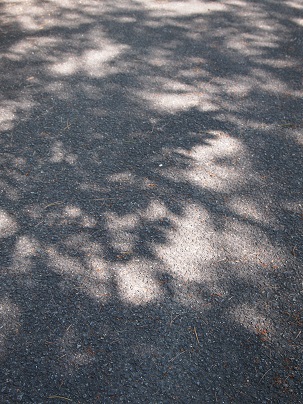 a0240108_14281389.jpg