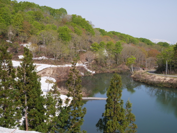 f0302208_06225431.jpg