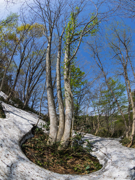 f0302208_06285434.jpg