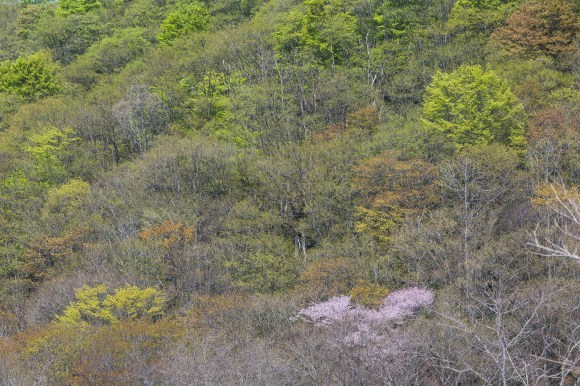 f0302208_07591104.jpg