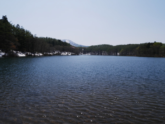f0302208_08035961.jpg