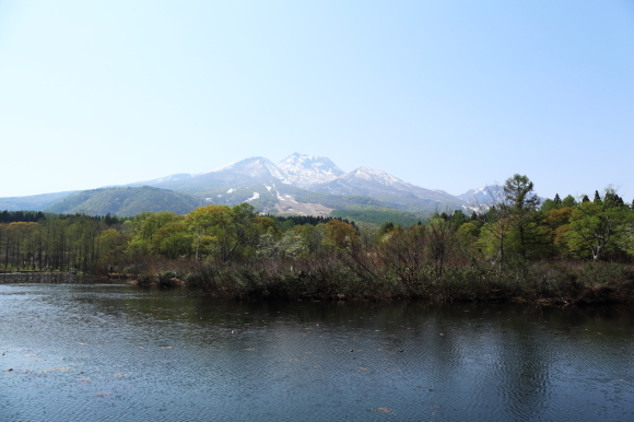 f0302208_08243861.jpg