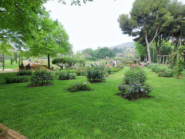 b0064411_20544508.jpg