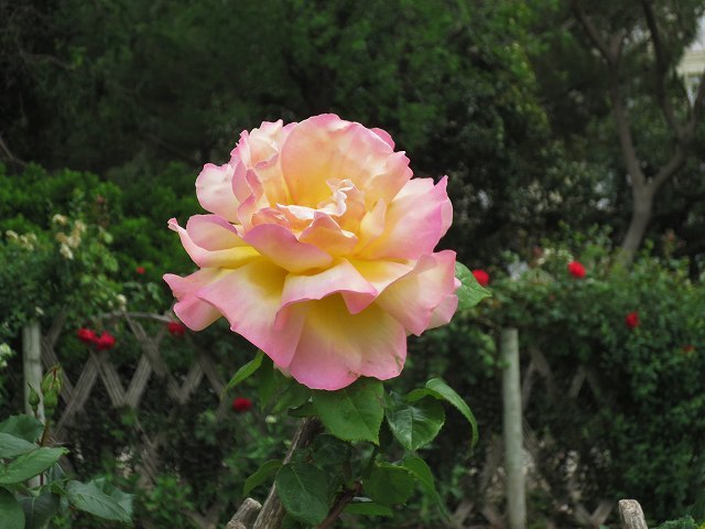 b0064411_21511601.jpg