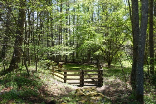 e0192217_21533638.jpg