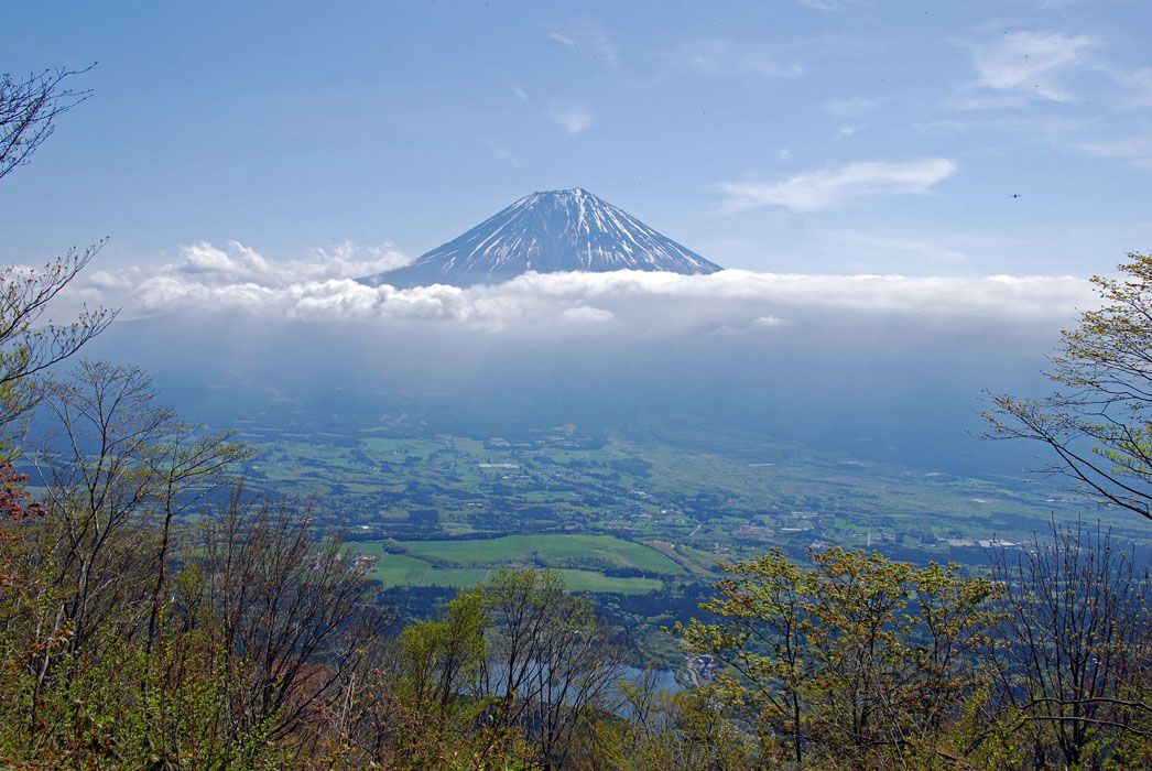 f0206417_2261215.jpg