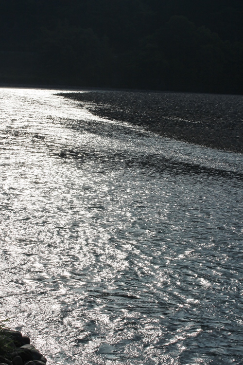 b0220318_6184846.jpg