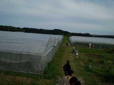 f0182618_23505269.jpg