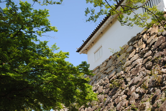 b0209919_2245070.jpg