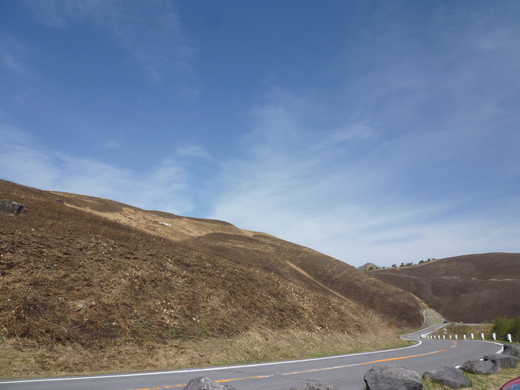 d0221319_2257533.jpg