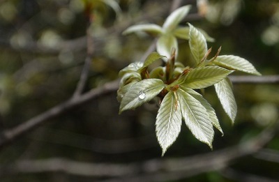 f0231422_144262.jpg