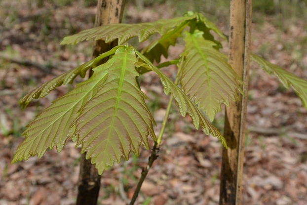 f0231422_1494067.jpg