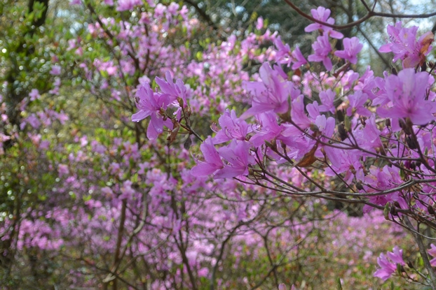 f0231422_150811.jpg