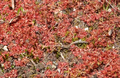 f0231422_201873.jpg