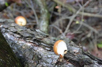 f0231422_222320.jpg