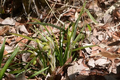 f0231422_231636.jpg