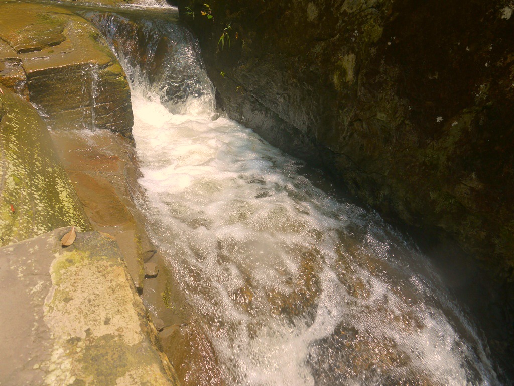d0235123_15363027.jpg