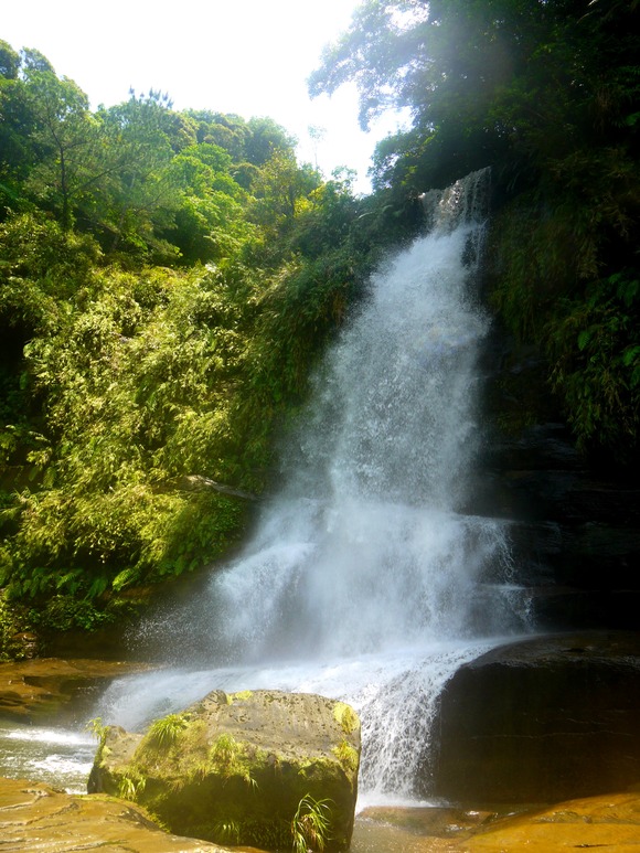 d0235123_15412294.jpg