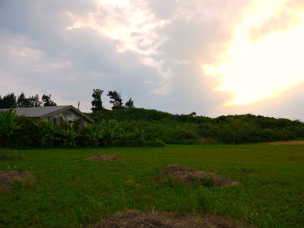 d0235123_1618566.jpg