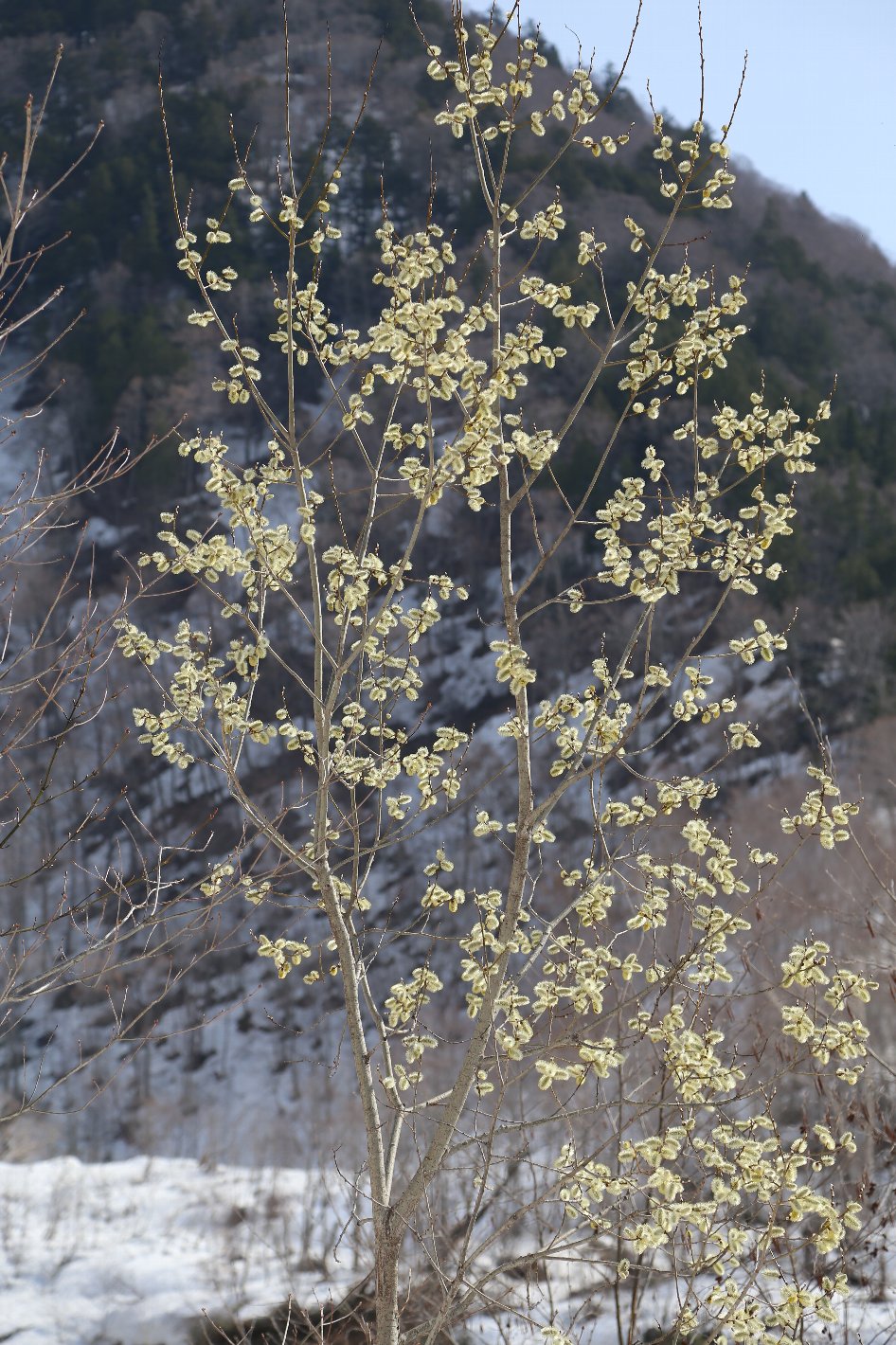 b0062024_1925415.jpg