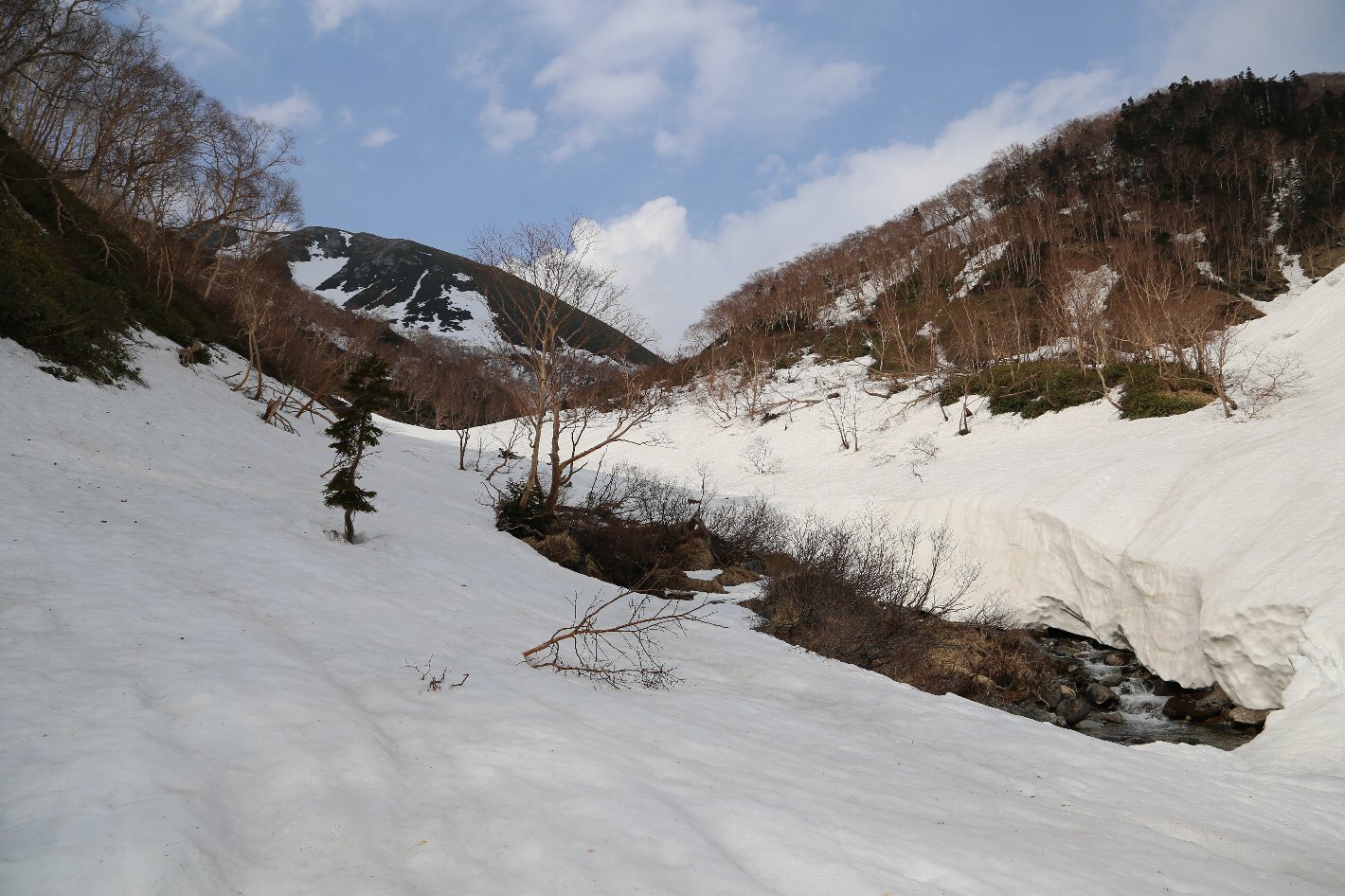 b0062024_19262155.jpg