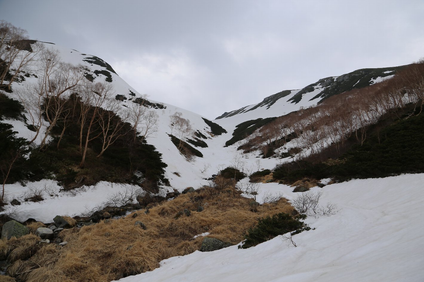 b0062024_19271213.jpg